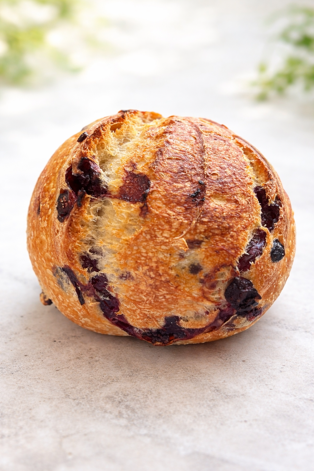 Blueberry and Lemon Sourdough Bread