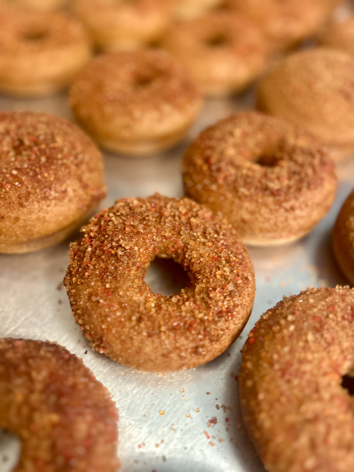Artisan Sourdough Donuts