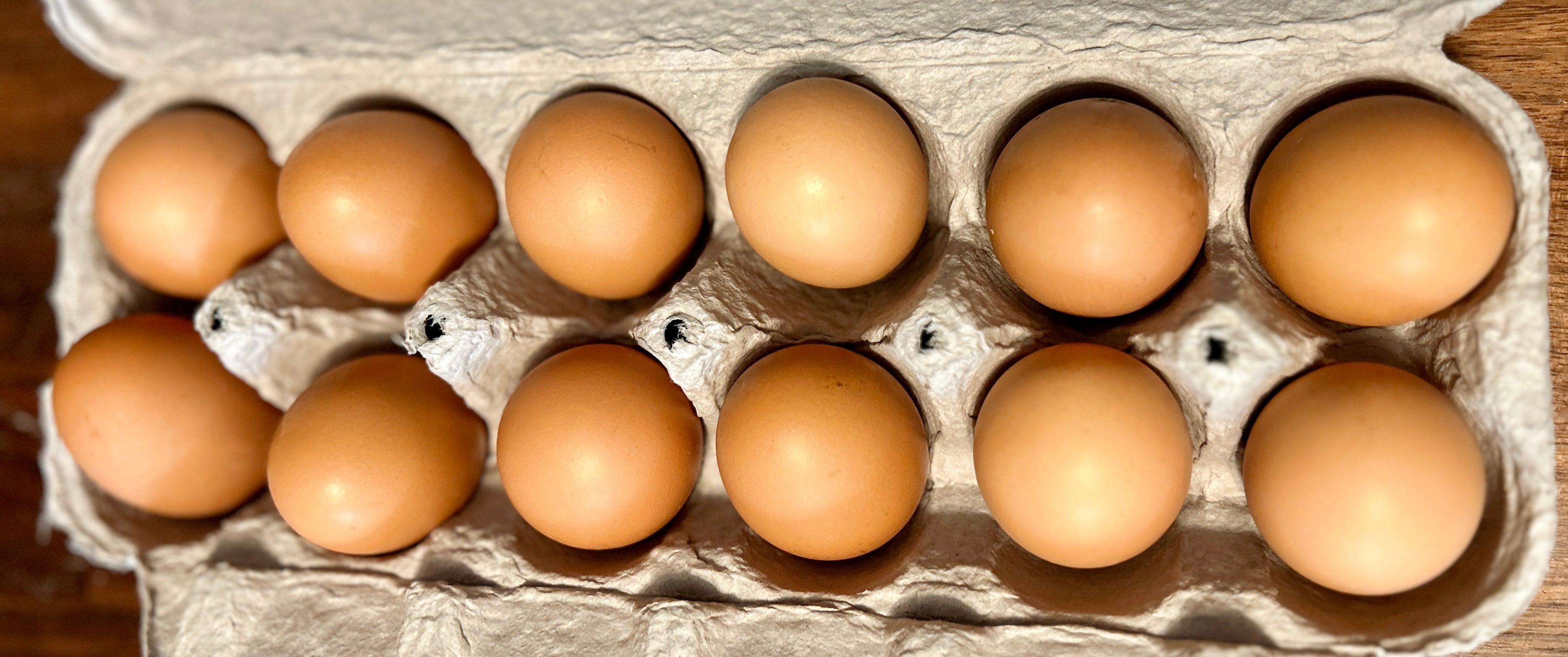 Farm Fresh Pasture Raised Eggs