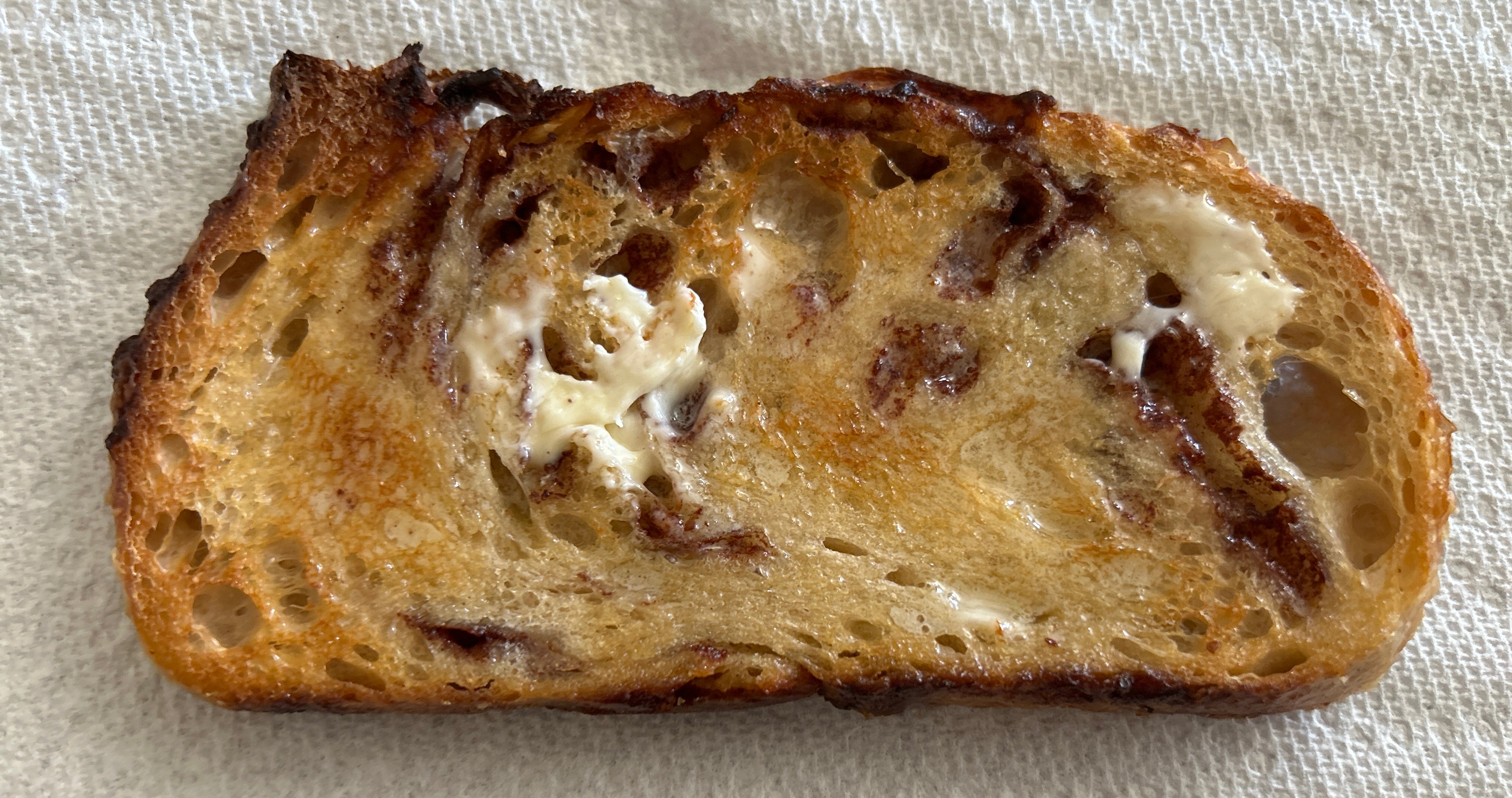 Cinnamon Chip Sourdough