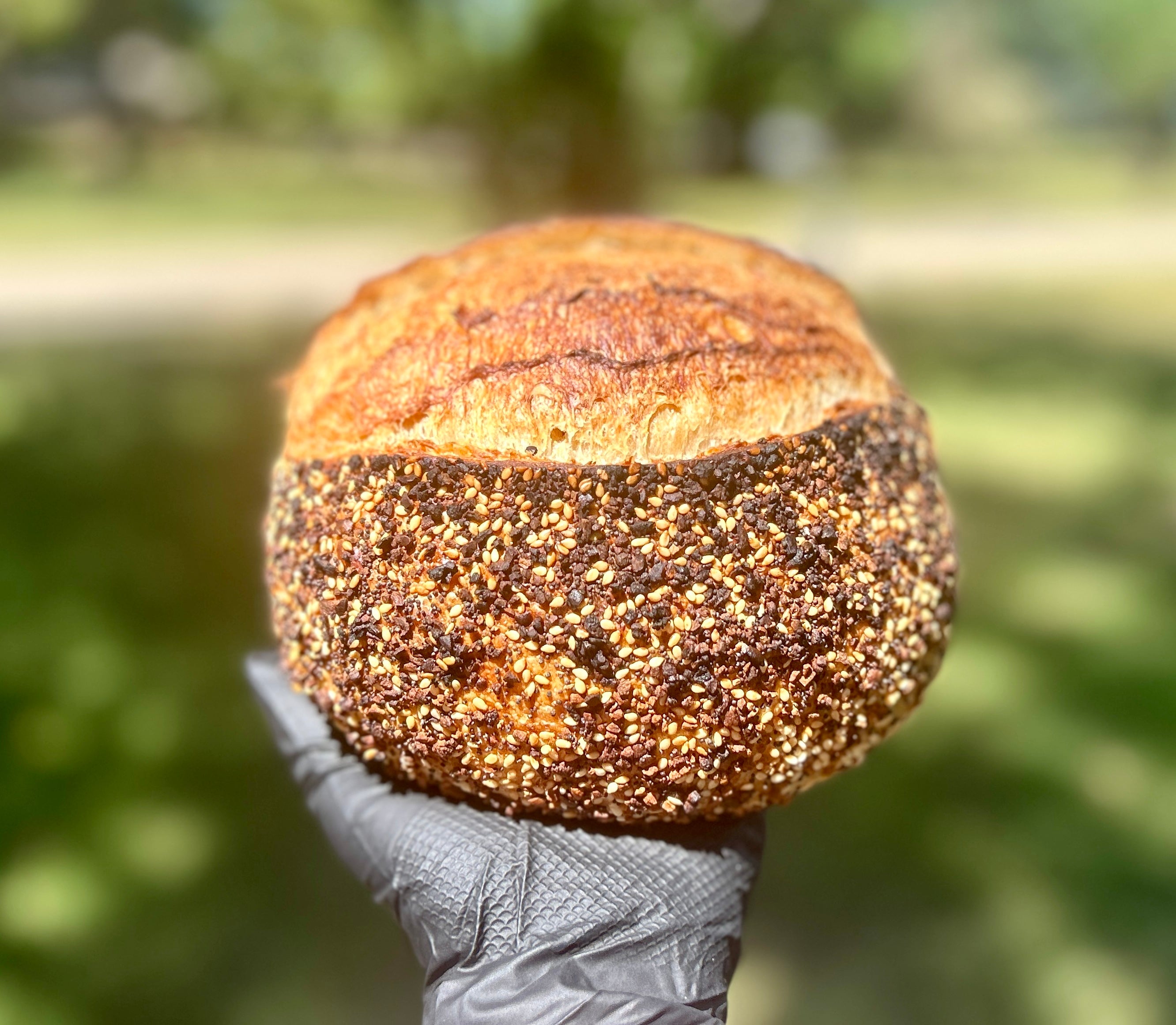 Everything Bagel Sourdough