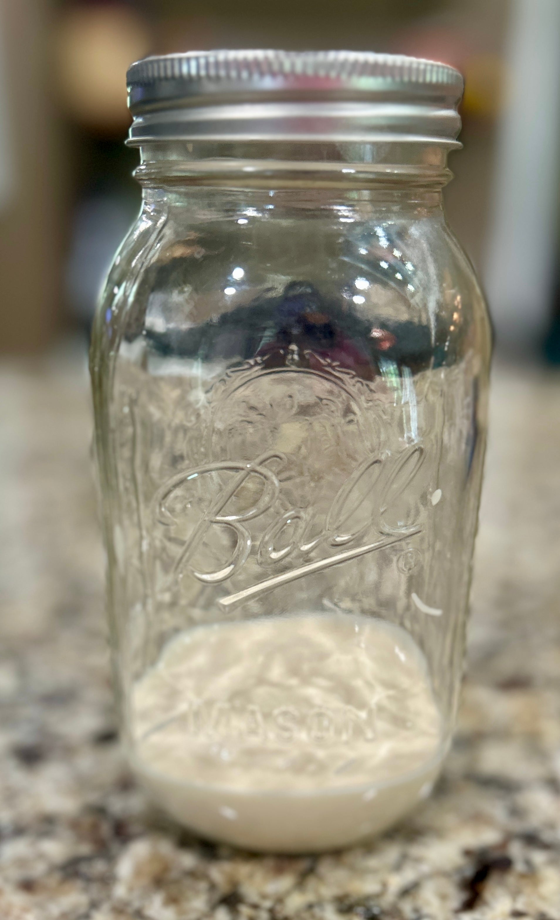 Sourdough Starter Kit